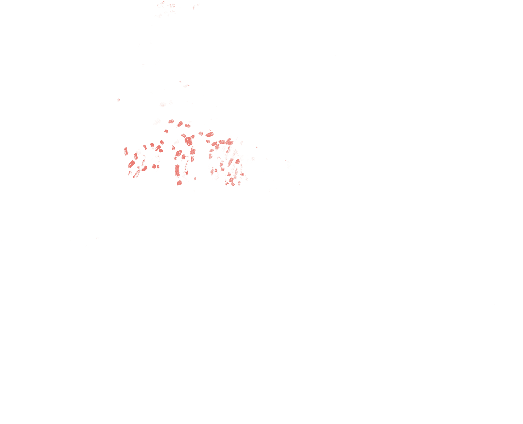 El puente de Waterloo, salmon nivel tres