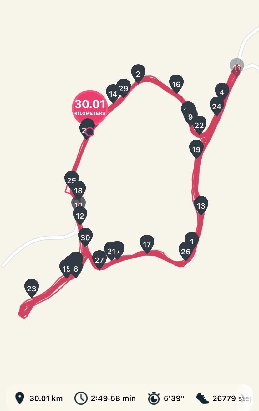 How does one train for a marathon?