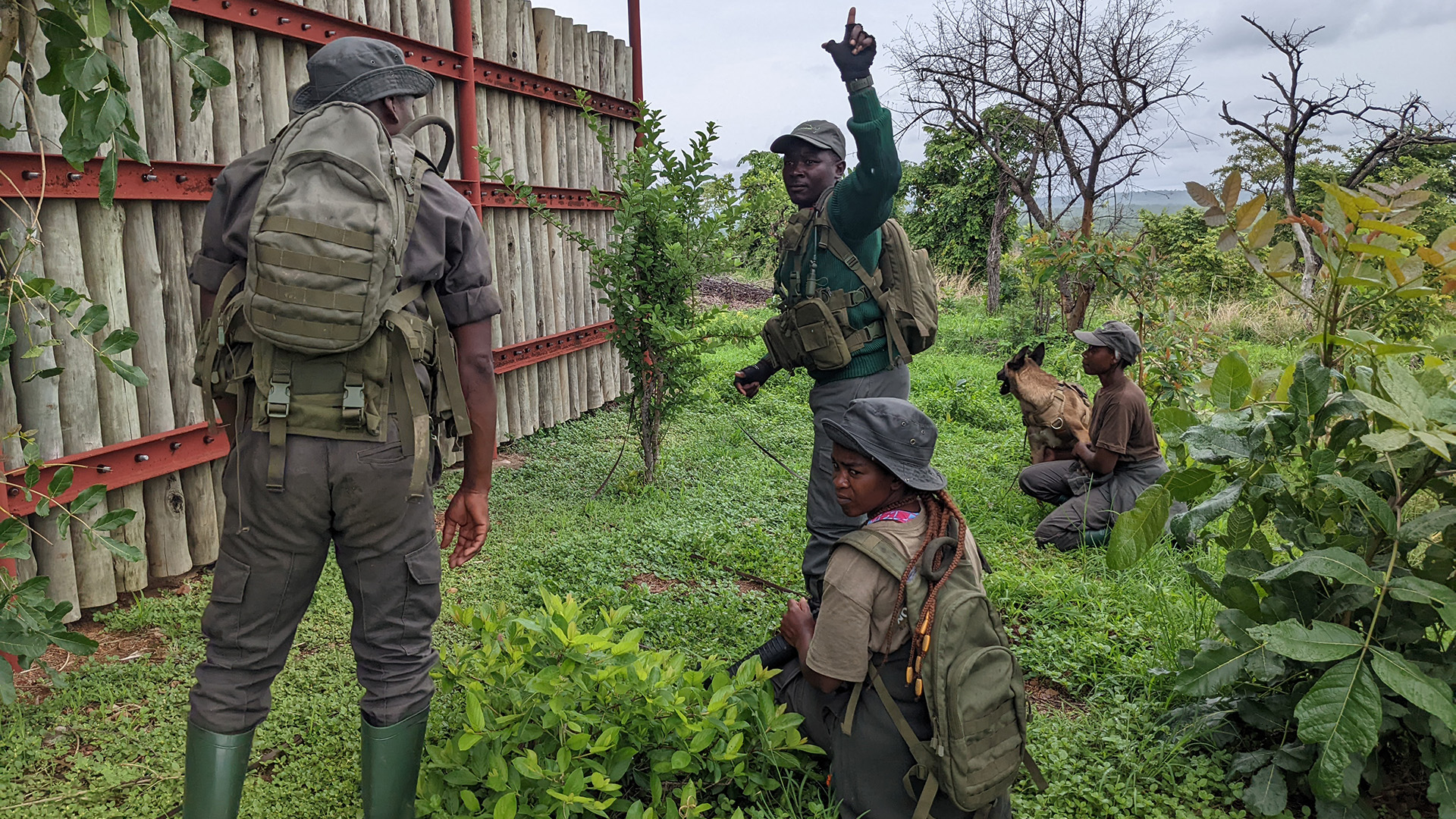 North Luangwa Ecosystem - Frankfurt Zoological Society