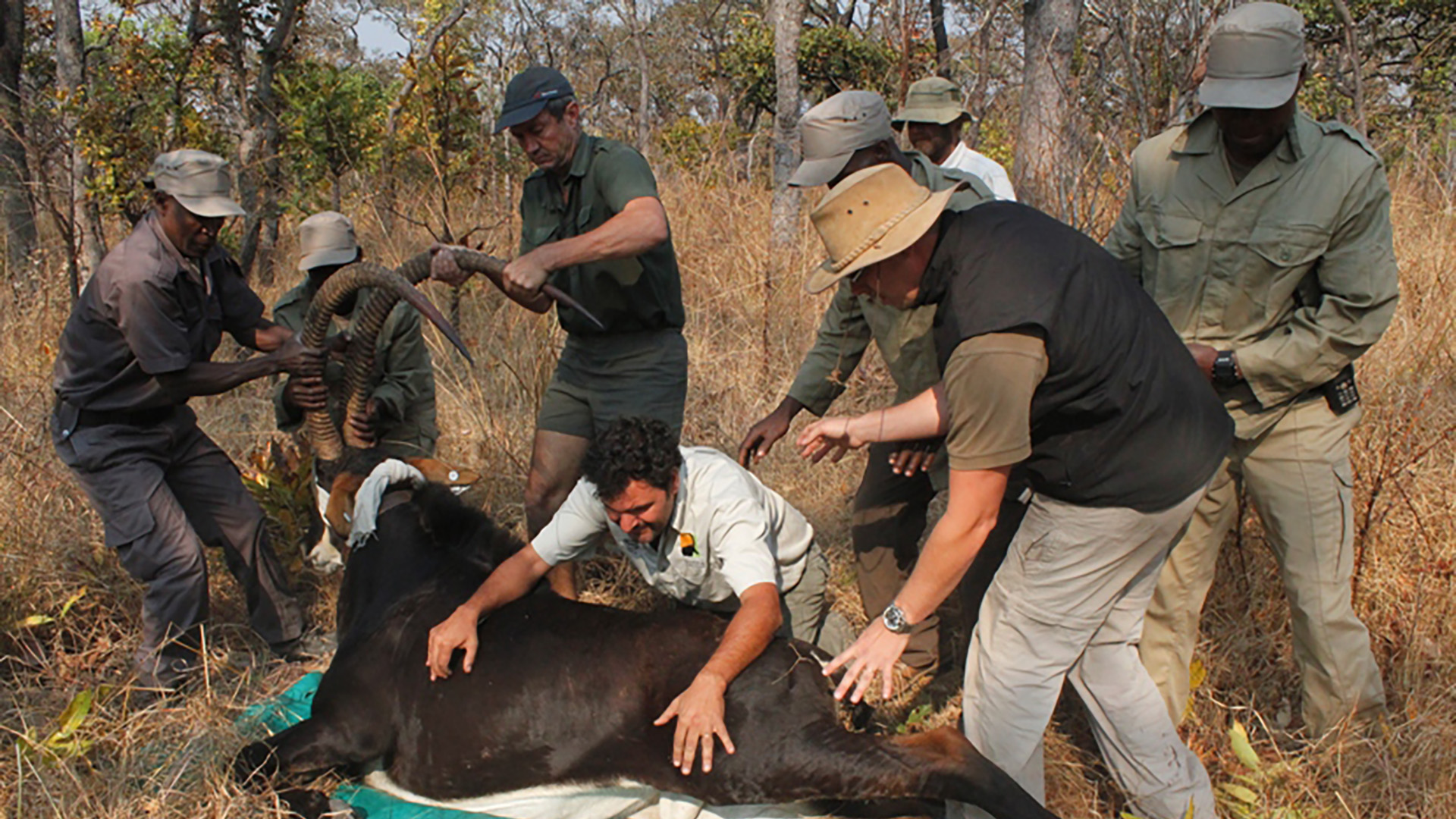 Luando Strict Nature Reserve - Kissama Foundation