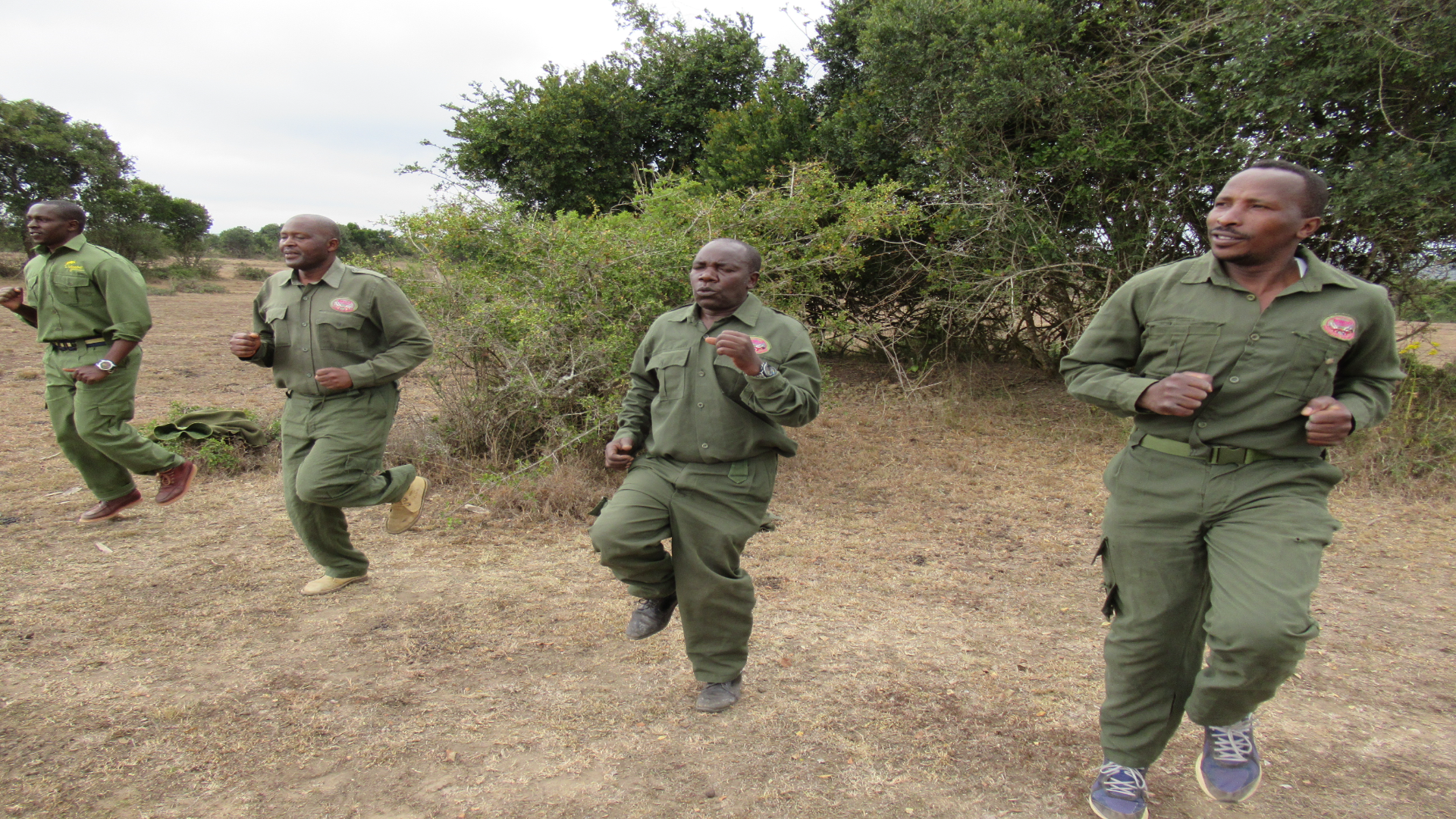 Aberdare National Park & Maasai Mau Forest - Bongo Surveillance Project
