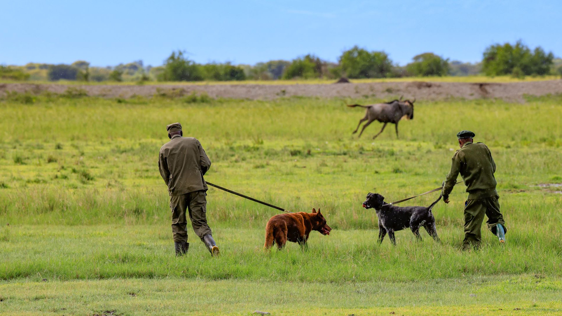 Manyara Ranch - Honeyguide Foundation