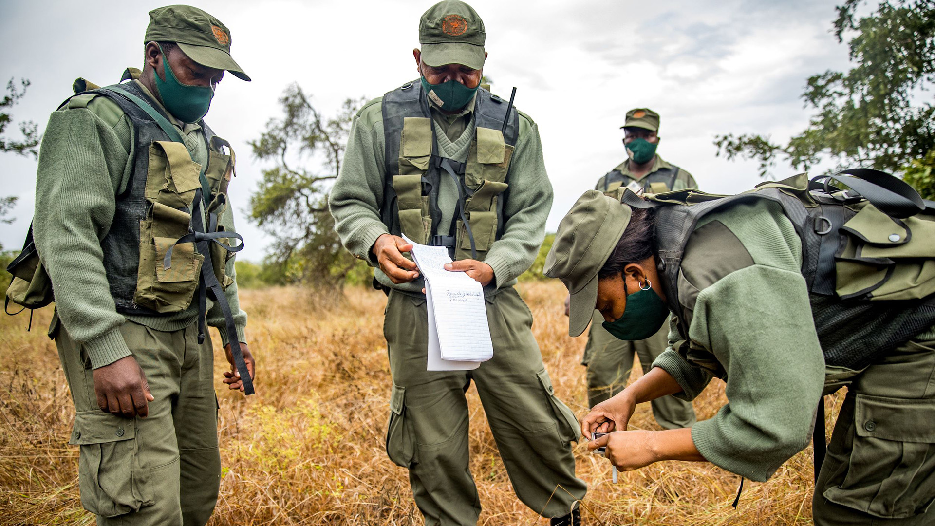 Banhine National Park - Peace Parks Foundation
