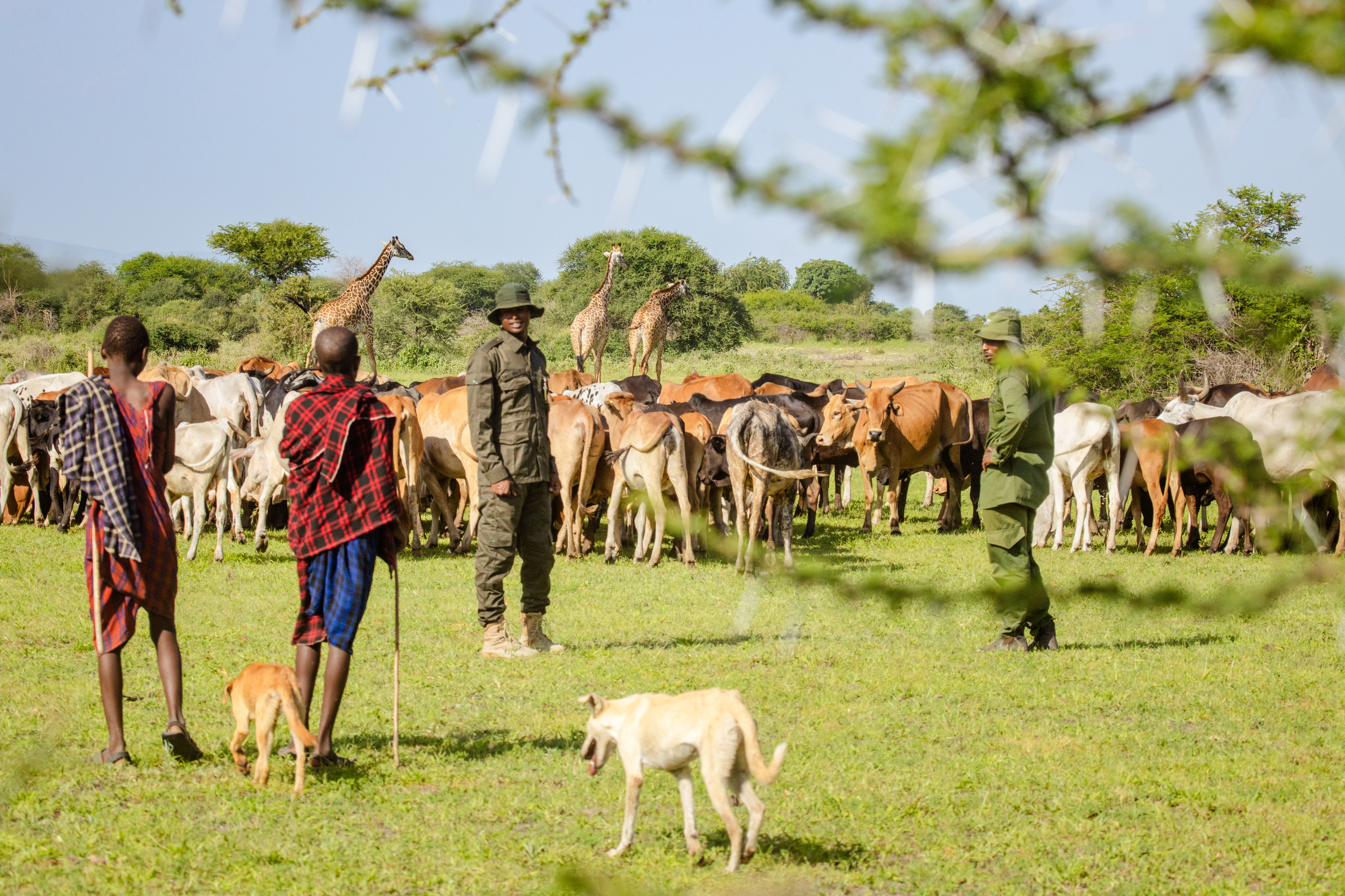 Randilen Wildlife Management Area