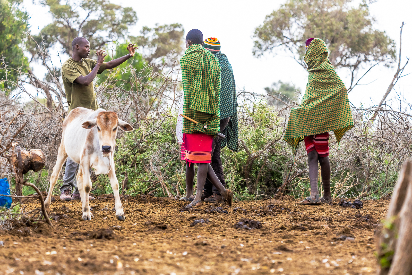 Supporting communities