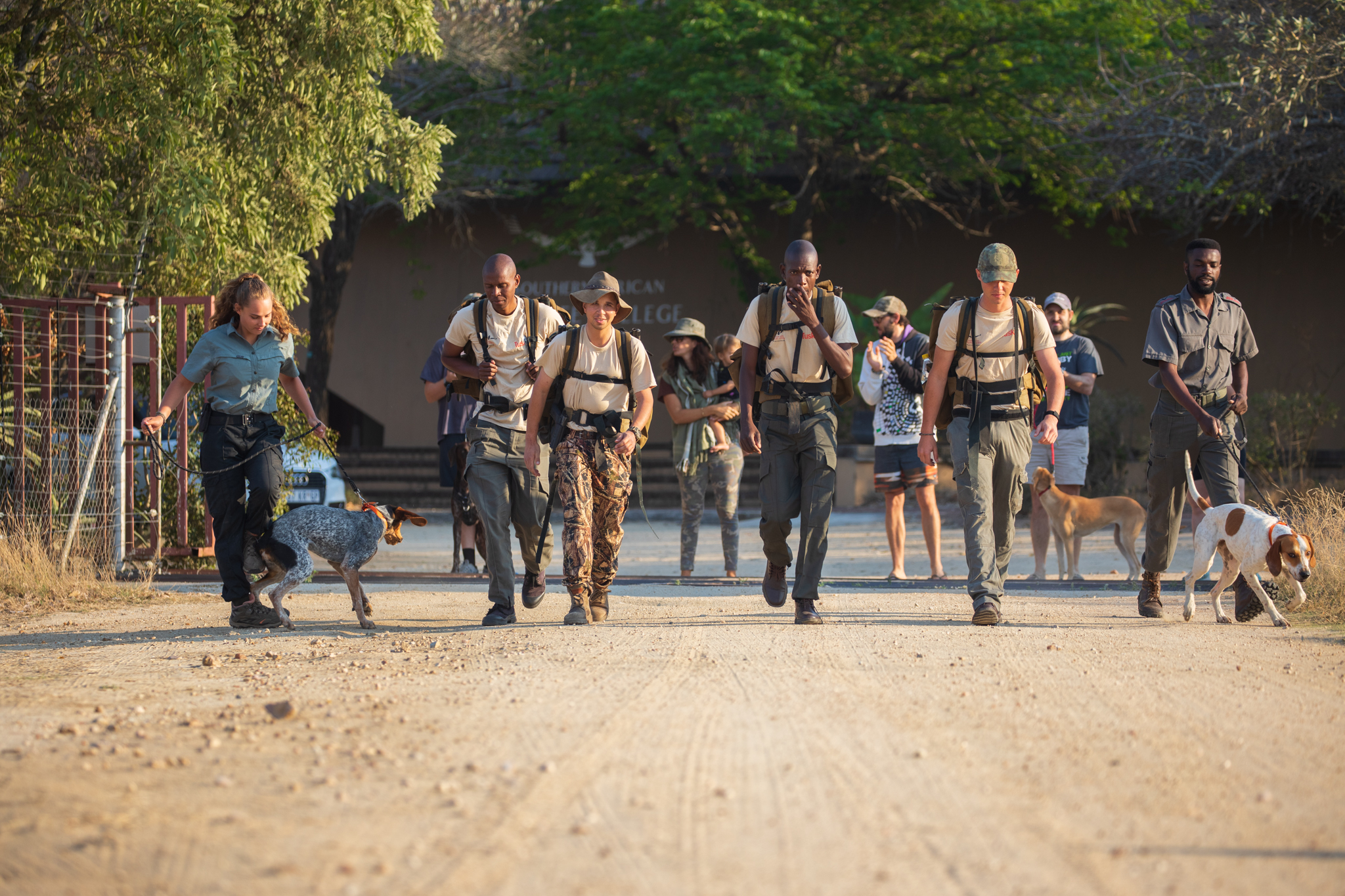 Wildlife Ranger Challenge Complete!