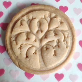 Tiendas donde podéis comprar las galletas: