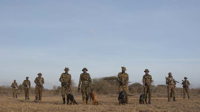 Support a unique conservation initiative empowering and uniting wildlife rangers across Africa.