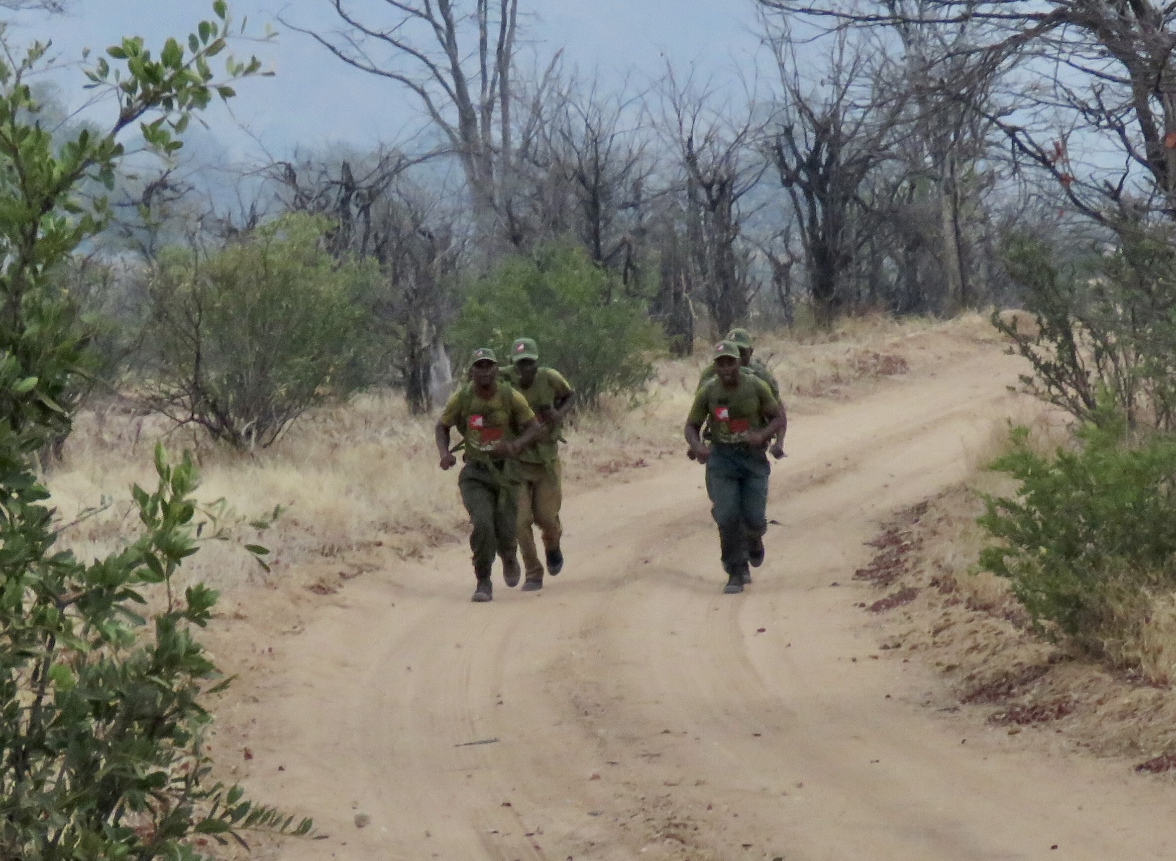 Team Preparations underway!