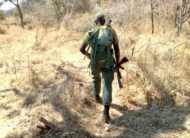 Team Tashinga Initiative - ZAVARU-Chewore on board Wildlife Ranger Challenge 2023