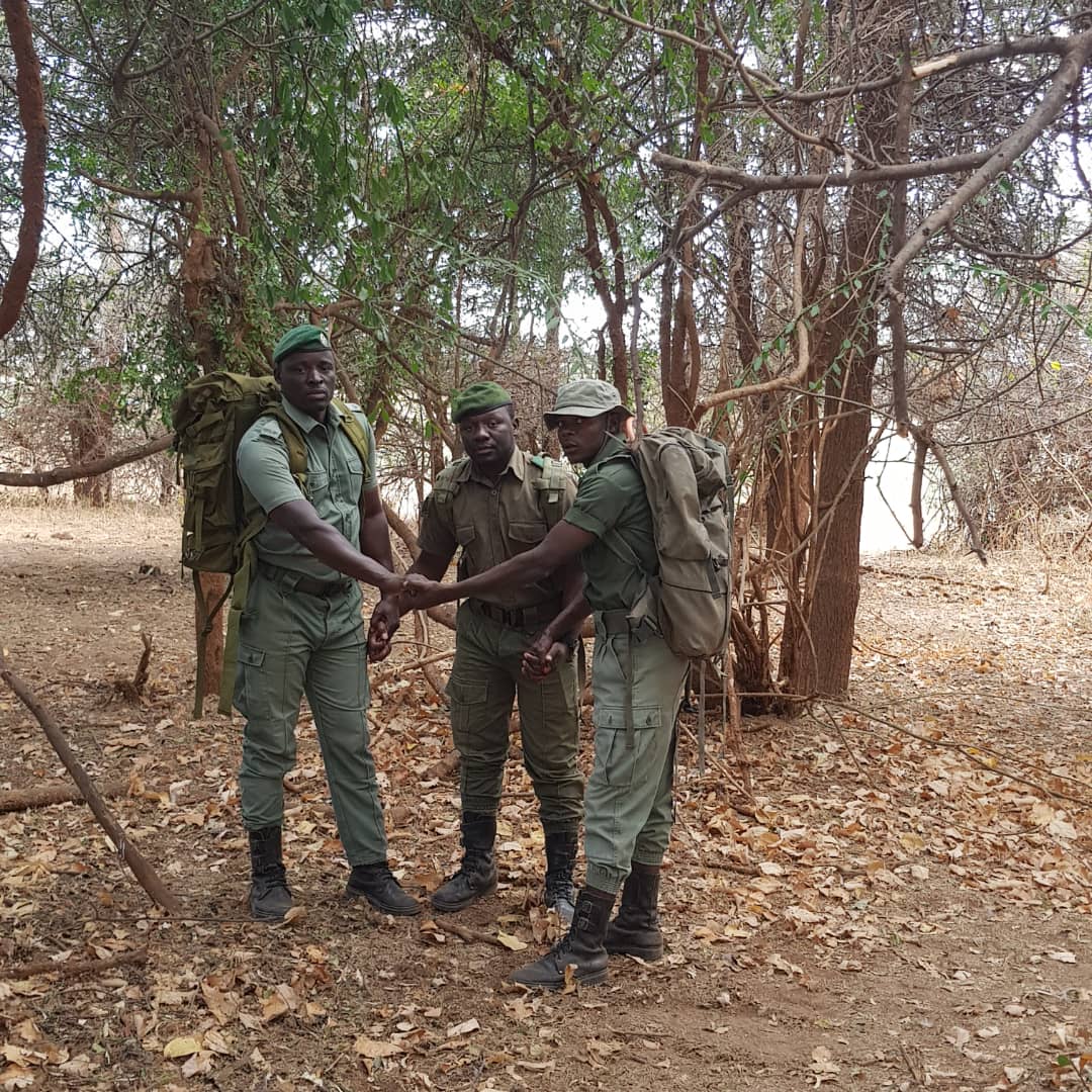 Wildlife Ranger Challenge Pushup Challenge update!