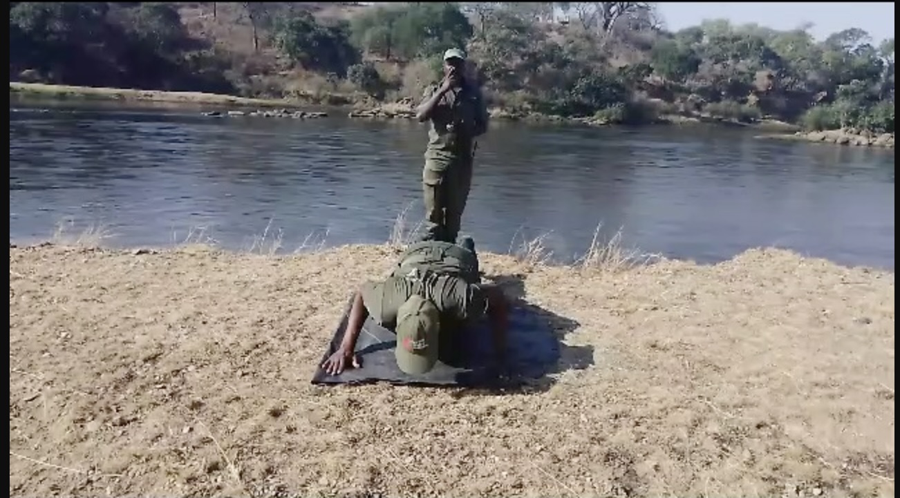 PUSHUP CHALLENGE WEEK!