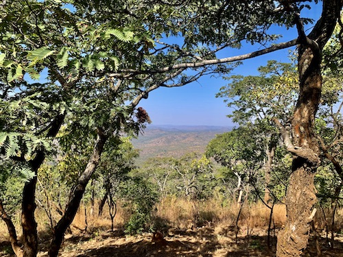 Ready for Marathon Day 16th!