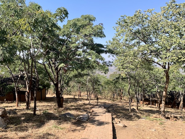 Ready for Marathon Day 16th!