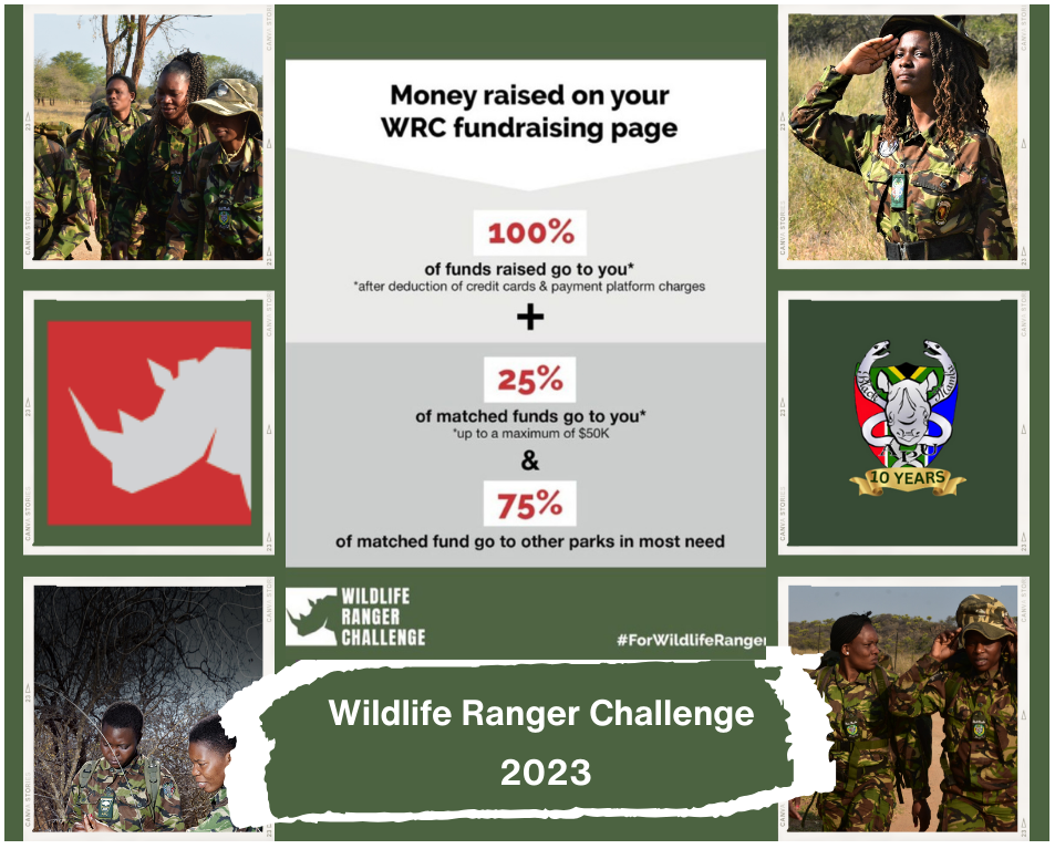 Your support will be amplified and increased by 25%!