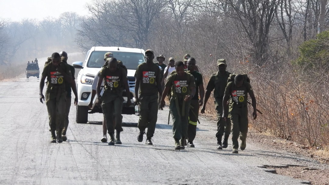 Best time in Mid-Zambezi Region and Wrapping up Wildlife Ranger Challenge 2023!