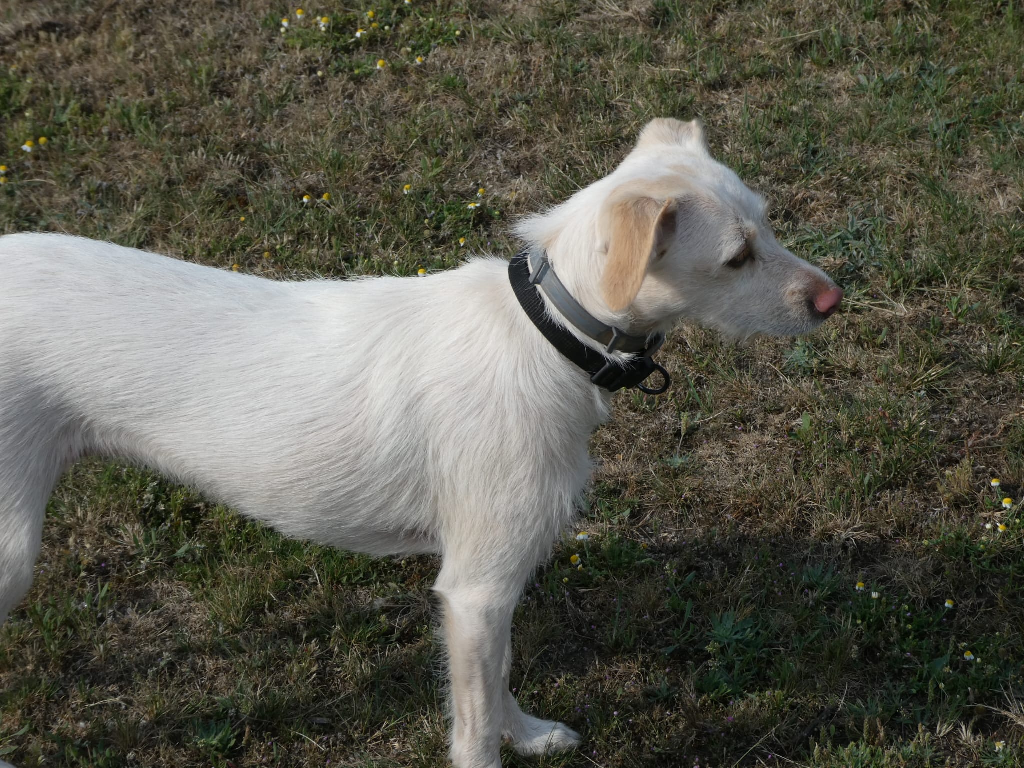 2ª Cima Sierra de Gata: Pico Jálama.