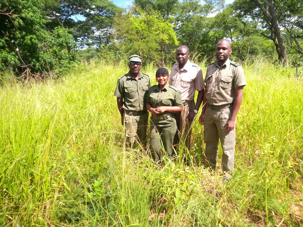 WRC 24 Team Doma complete the first Mini-Challenge, the 2.4km Trial Run
