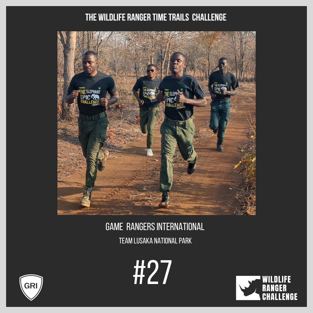 Dashing to Victory in the Time Trail Race