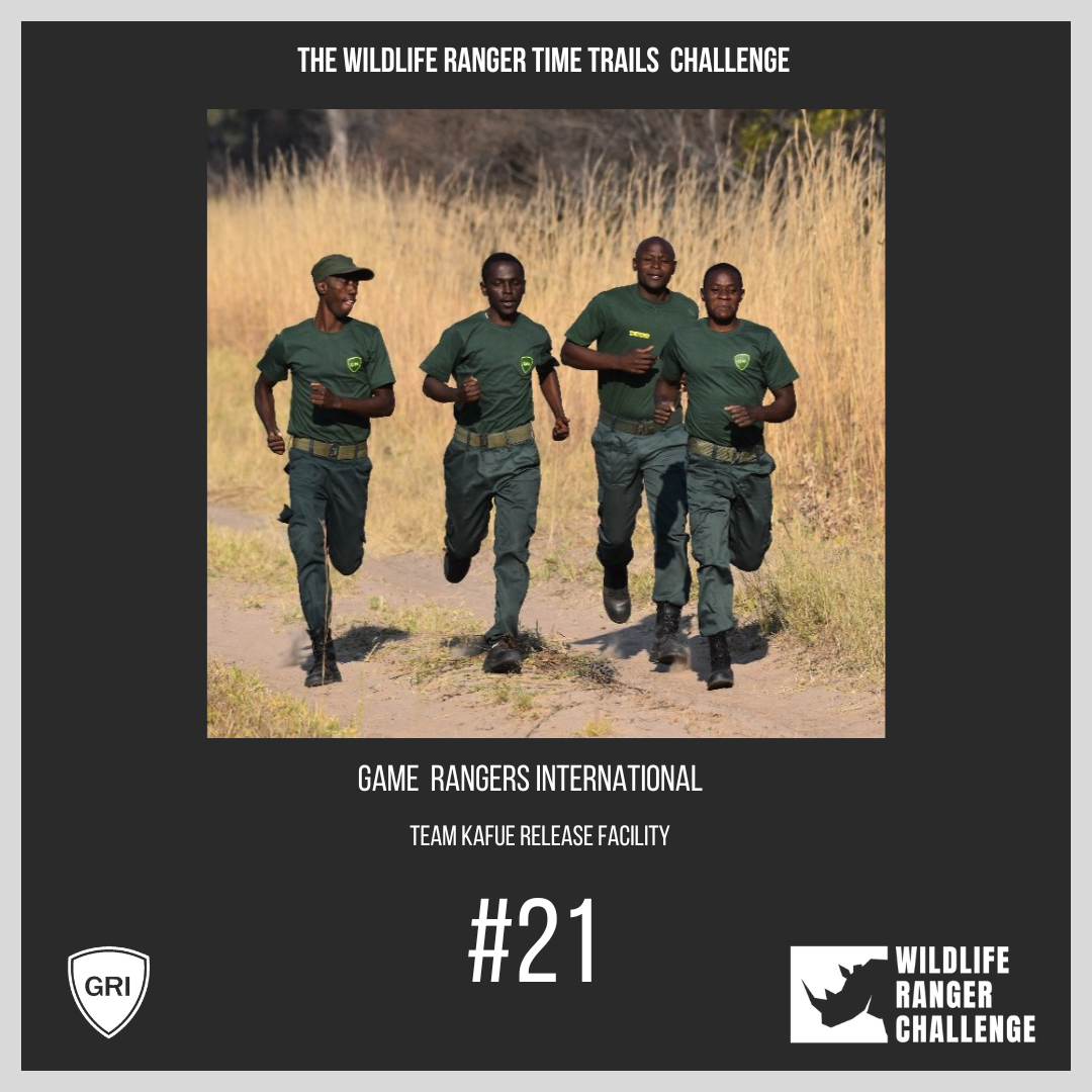 Dashing to Victory in the Time Trail Race