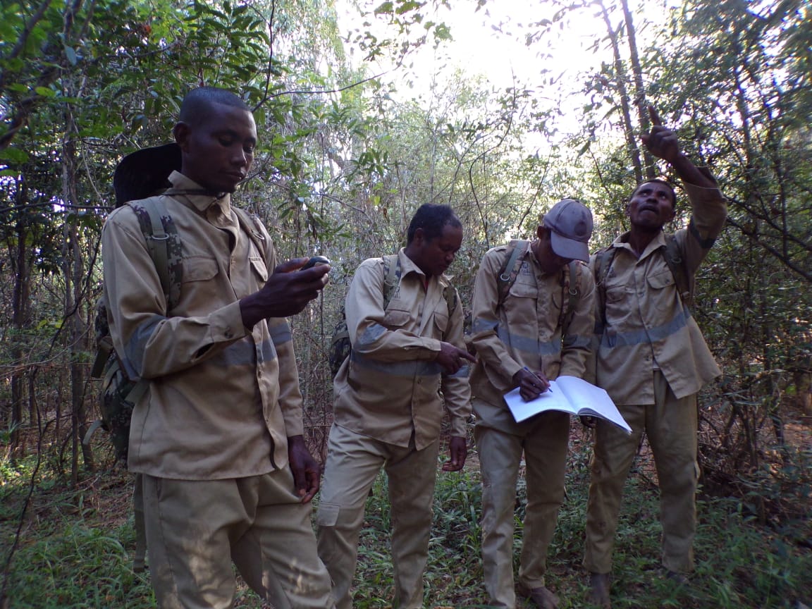 Photos from the Field