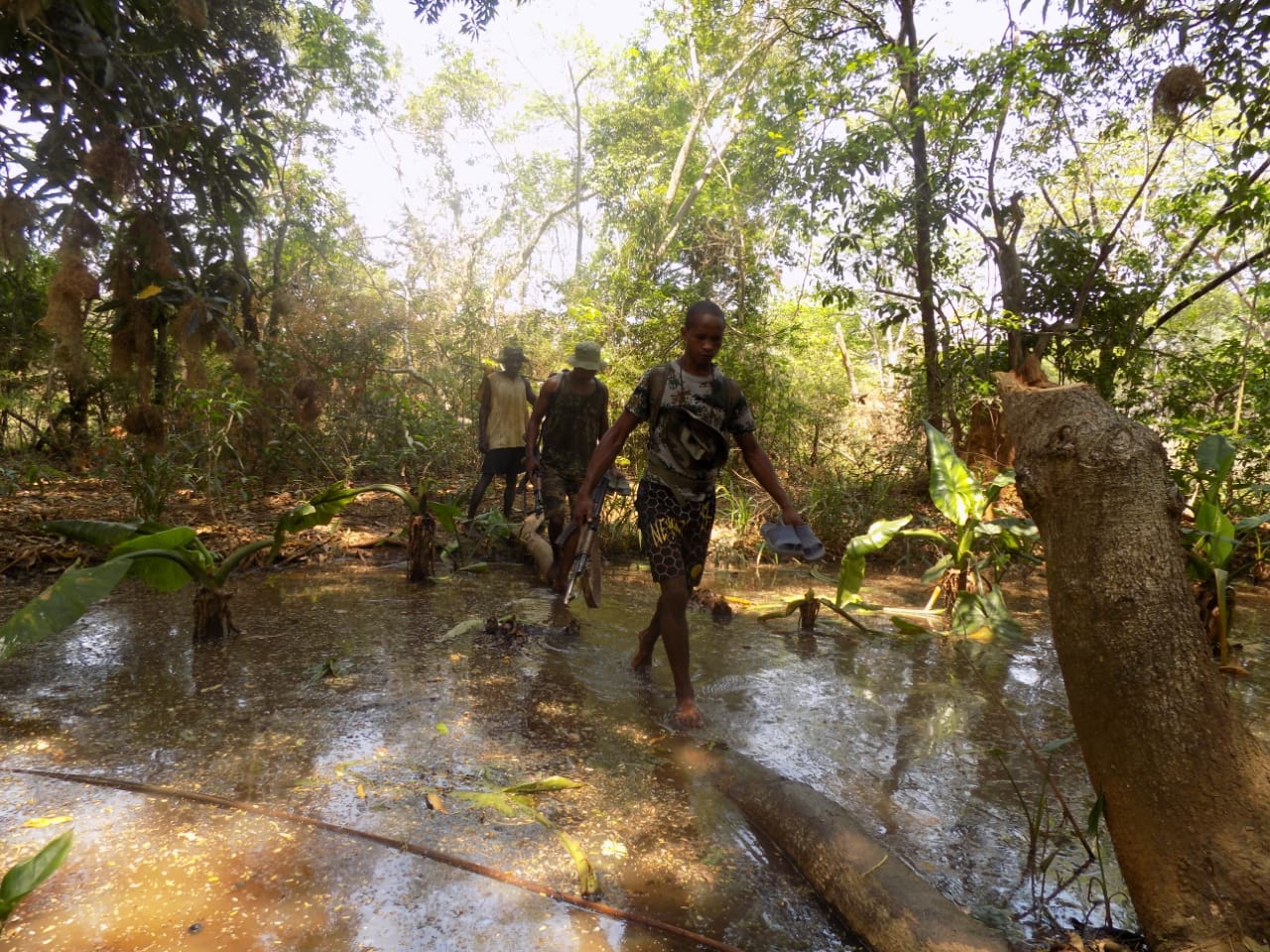 Photos from the Field