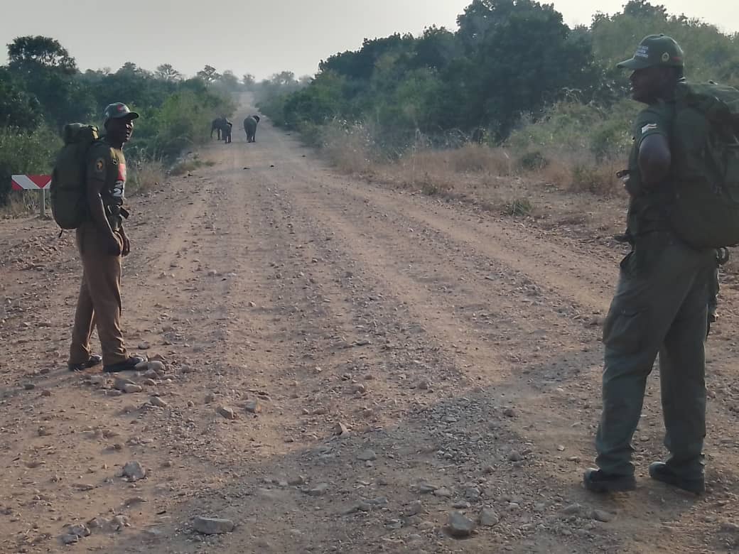 Elephant Check-Point!