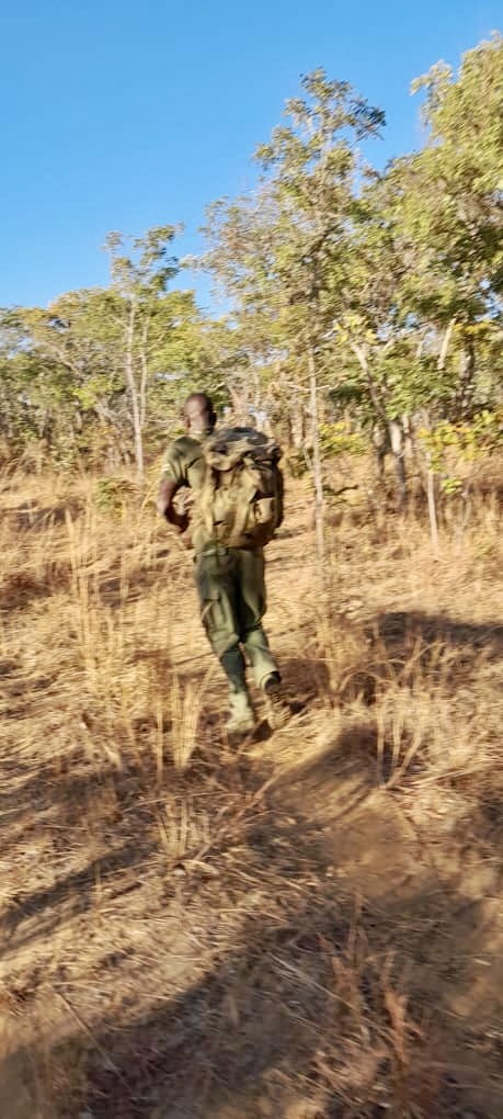 WRC 24 Team ZAVARU teams up with WRC 24 Team DOMA