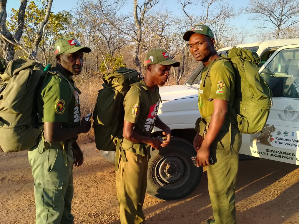 LOVING THE SPIRIT OF WRC 2024!