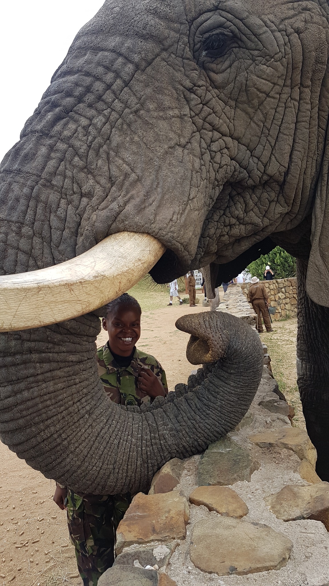 Team 1 is running the regional challenge at Southern African Wildlife College!