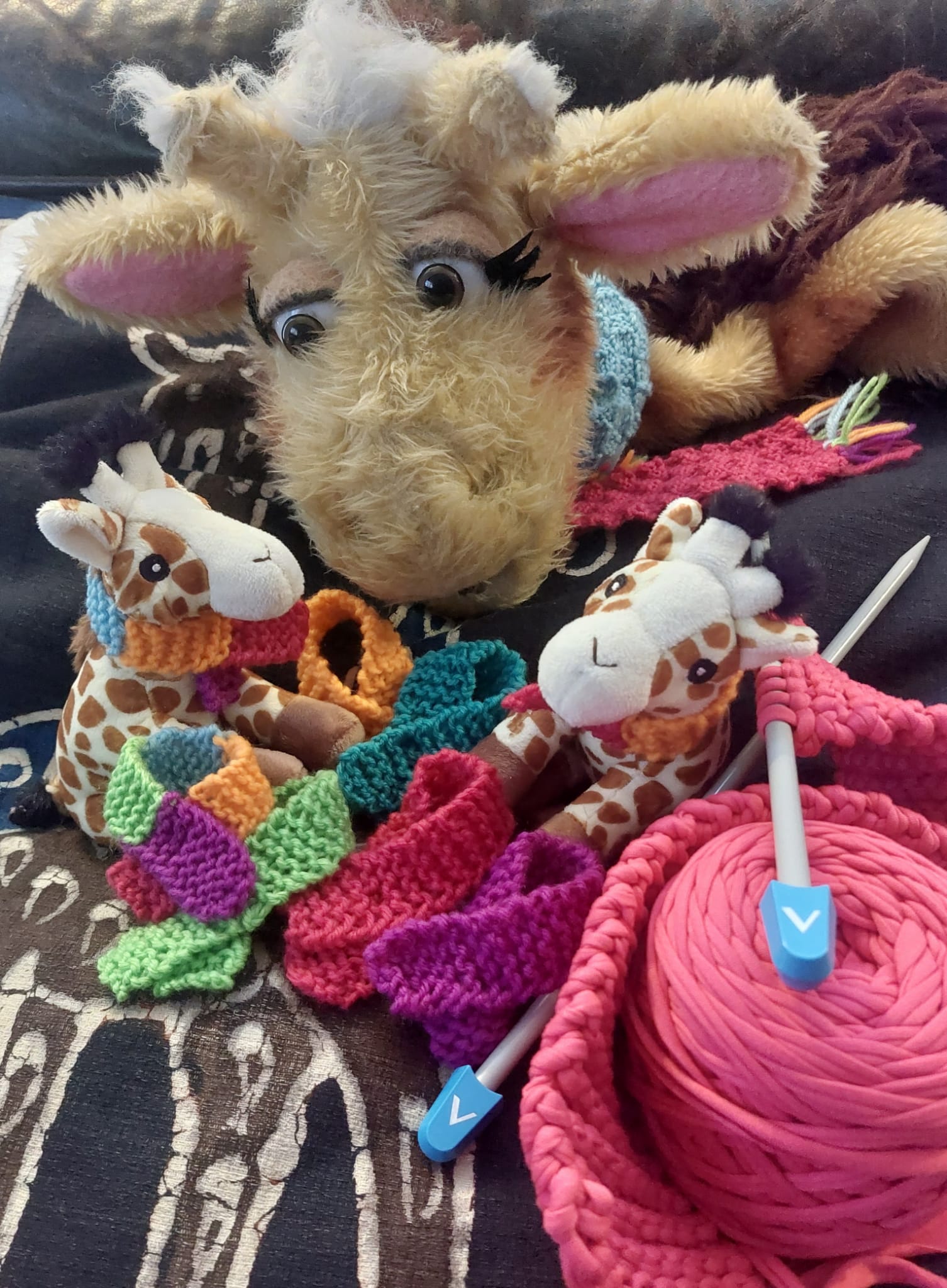 And that's a wrap (up warm in your SCARF!)