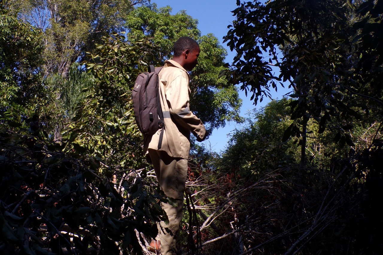 Heroes in the Forest: Our Rangers' Vital Work in Madiromirafy and Mahajeby