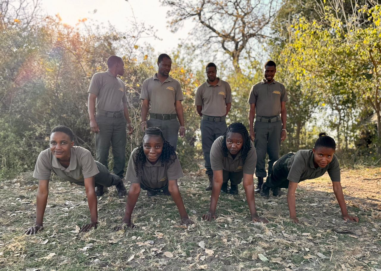 Pushup Challenge Complete!