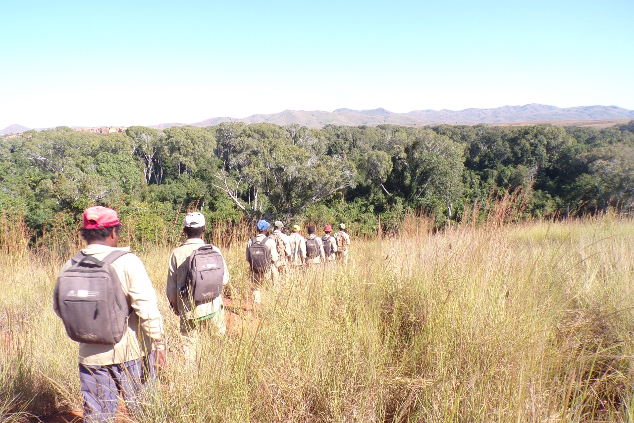 What does the Wildlife Ranger Challenge really support?