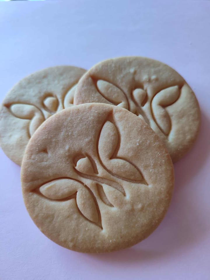 desde Pontevedra - Galicia