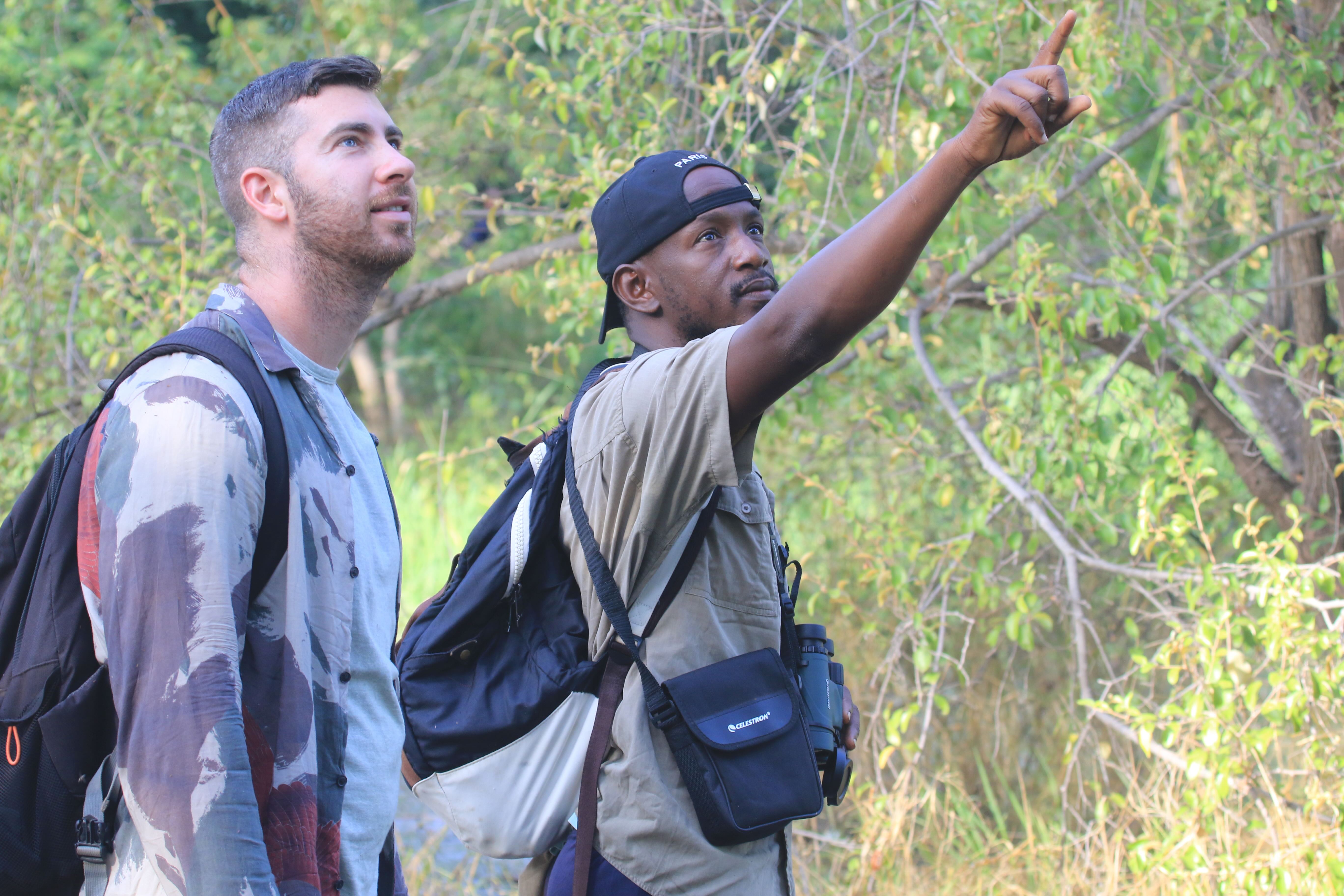 Welcome to Communities for Red Colobus (C4RC)