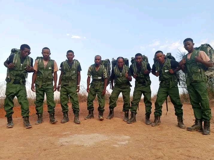 Rangers: More Than Just Wildlife Protection!