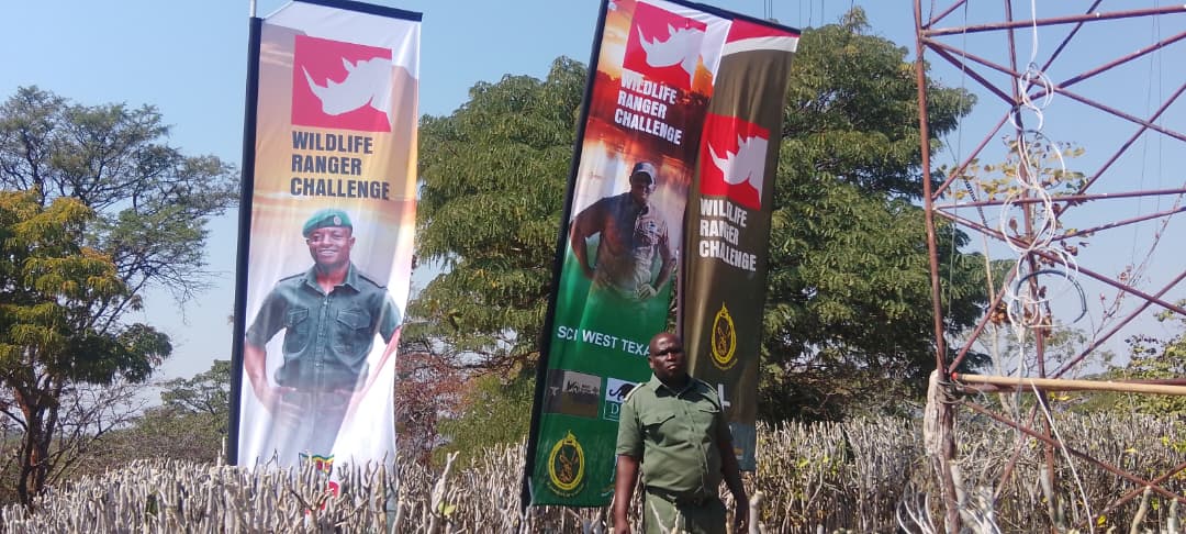 BANNERS FLYING and TRAINING, TRAINING and more TRAINING