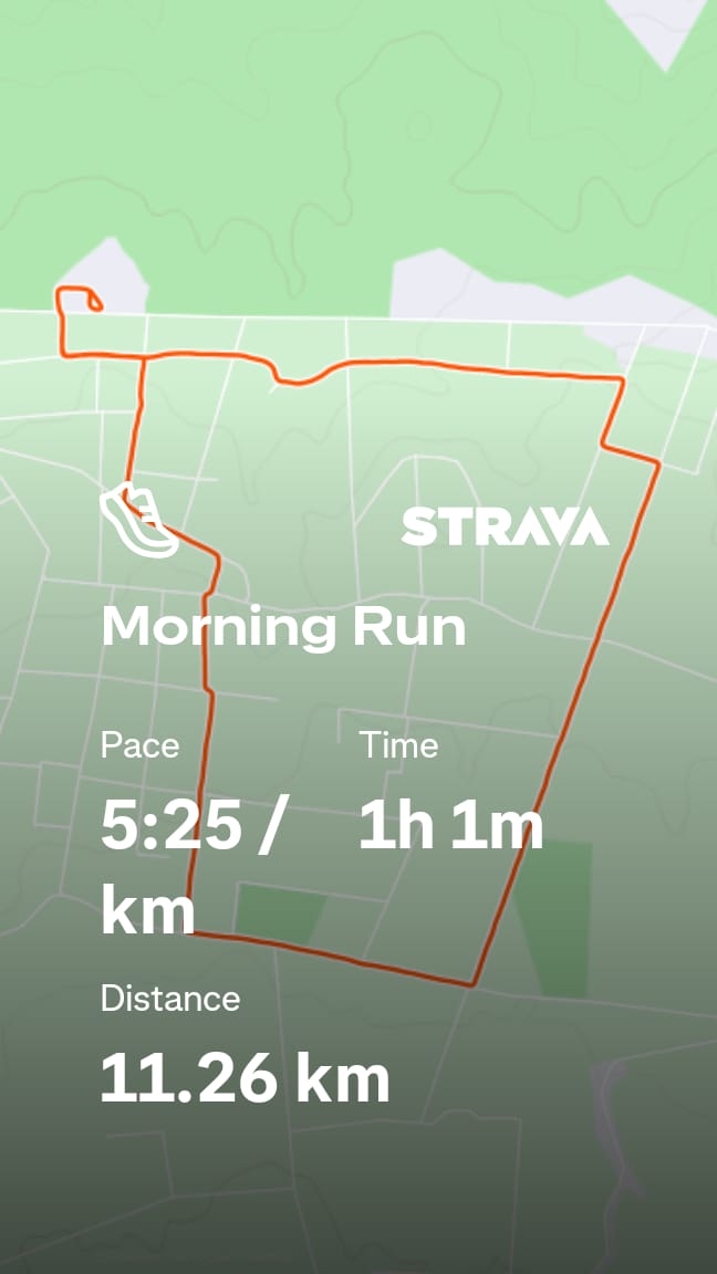 Day 3 of the training