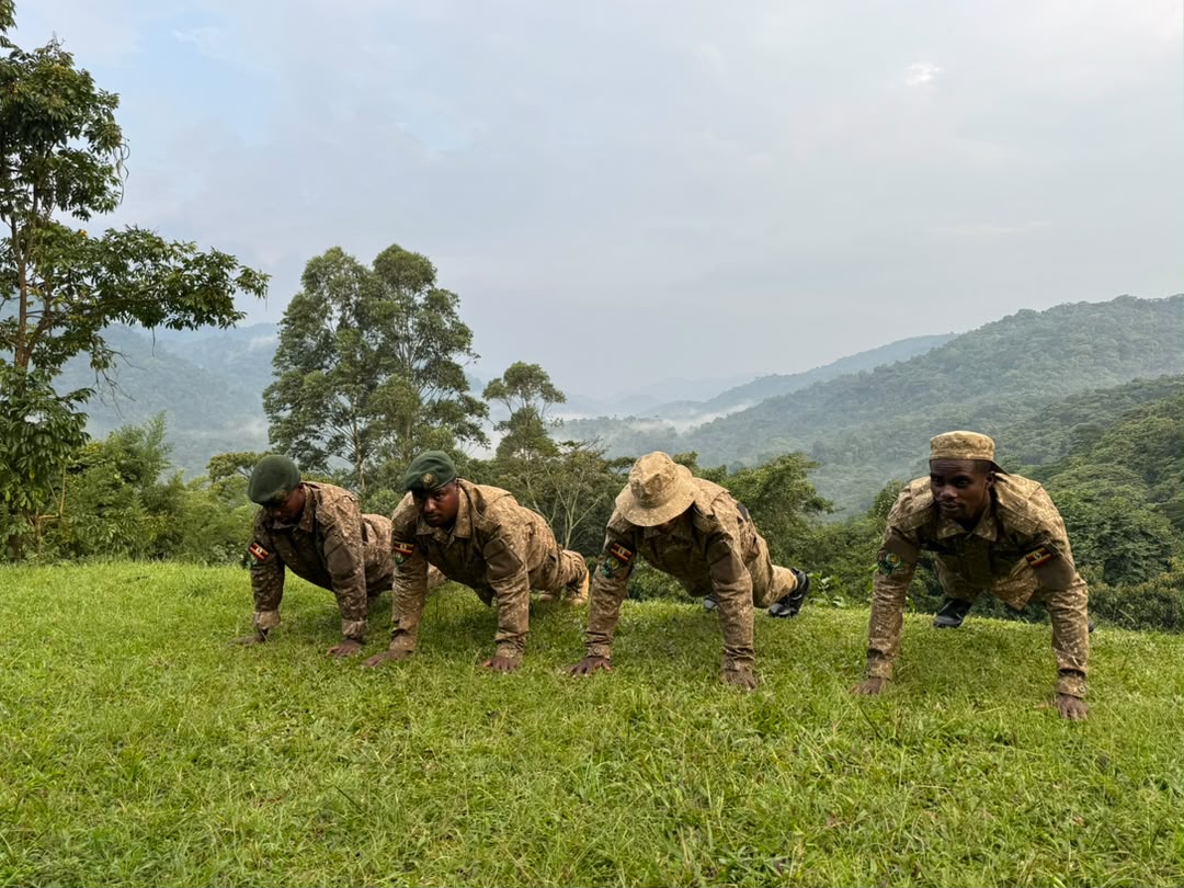 How many pushups can you do in 2 minutes
