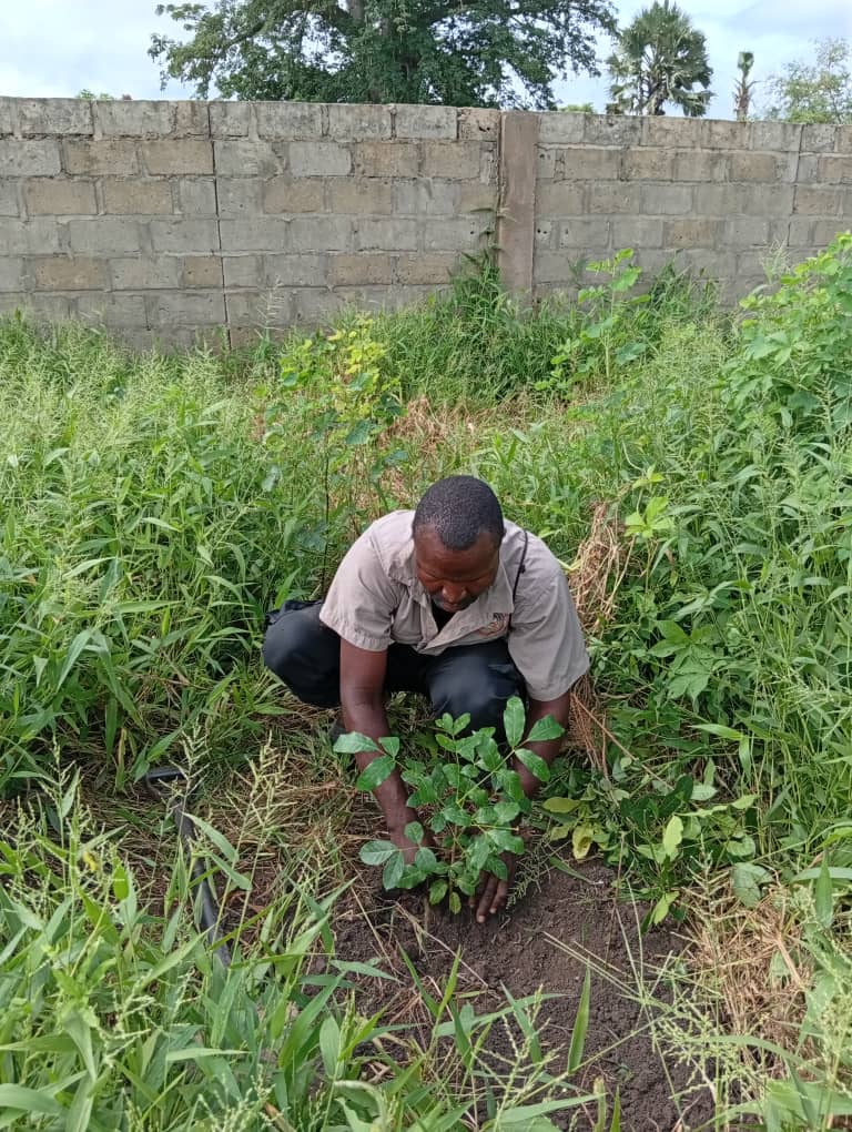 CR4C Rangers annual tree planting
