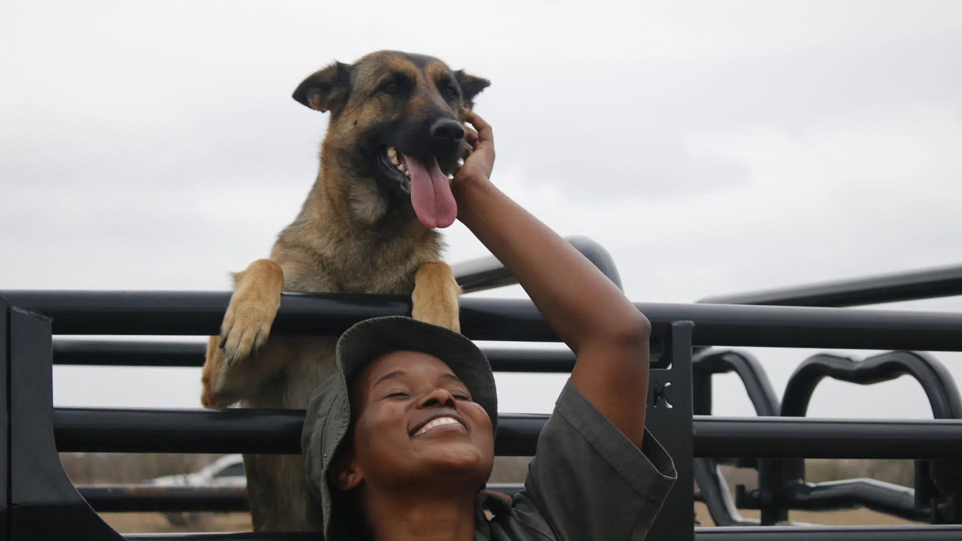 🐕 𝗪𝗼𝗿𝗹𝗱 𝗗𝗼𝗴 𝗗𝗮𝘆: 𝗛𝗶𝗴𝗵𝗹𝗶𝗴𝗵𝘁𝗶𝗻𝗴 𝘁𝗵𝗲 𝗣𝗼𝘄𝗲𝗿 𝗼𝗳 𝗞𝟵 𝗨𝗻𝗶𝘁𝘀 𝗶𝗻 𝗙𝗿𝗼𝗻𝘁𝗹𝗶𝗻𝗲 𝗖𝗼𝗻𝘀𝗲𝗿𝘃𝗮𝘁𝗶𝗼𝗻