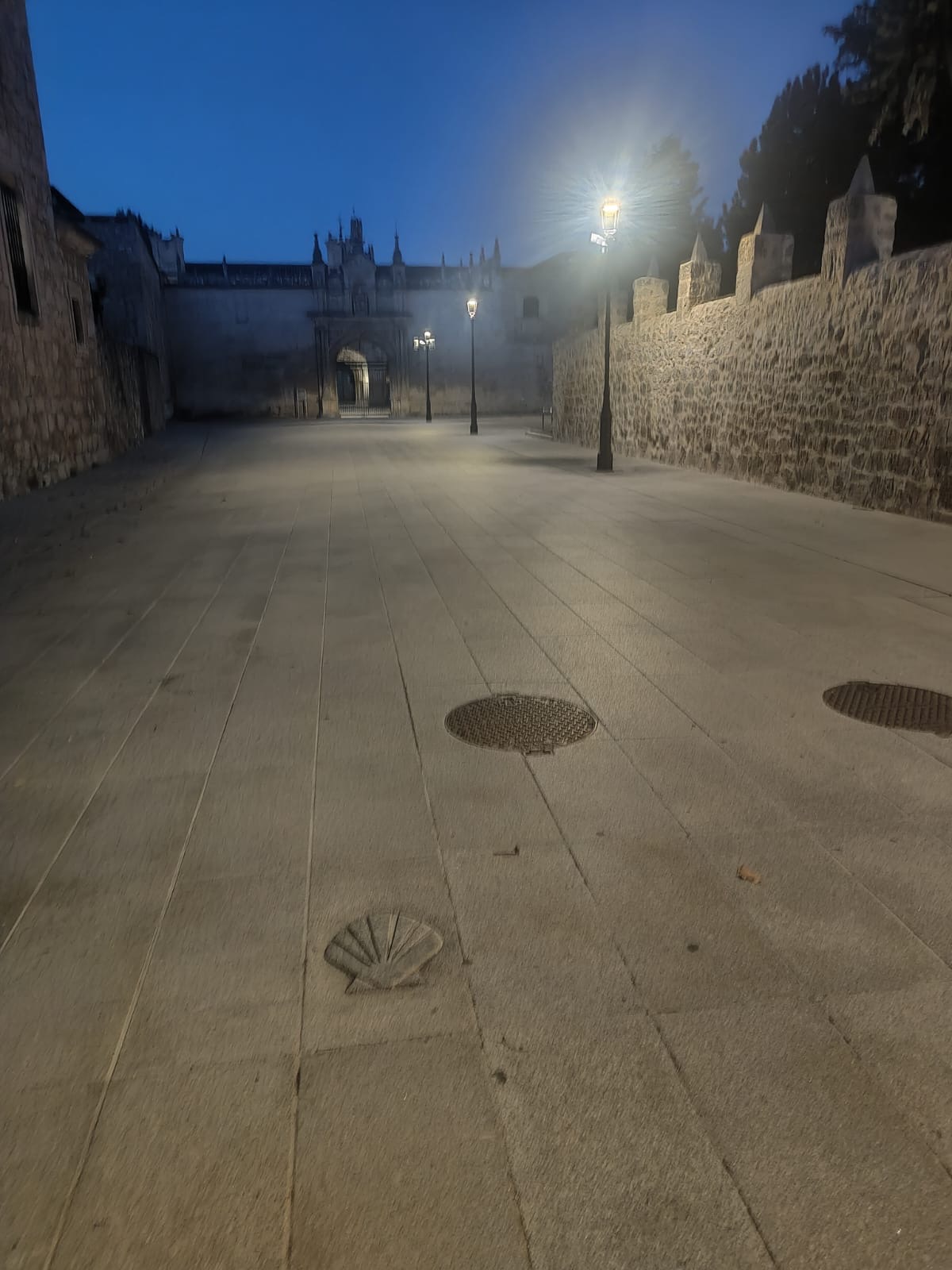 Día 14: De Burgos a Hornillos del Camino.