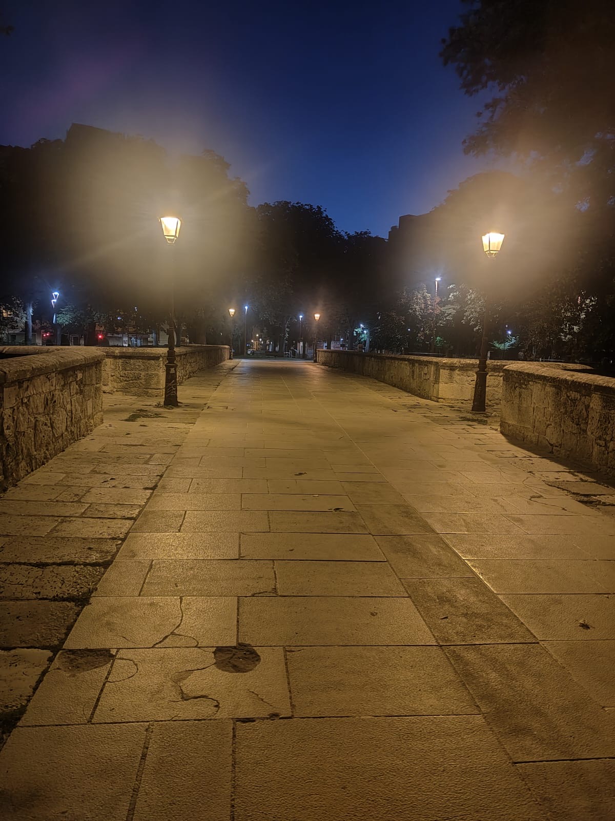 Día 14: De Burgos a Hornillos del Camino.