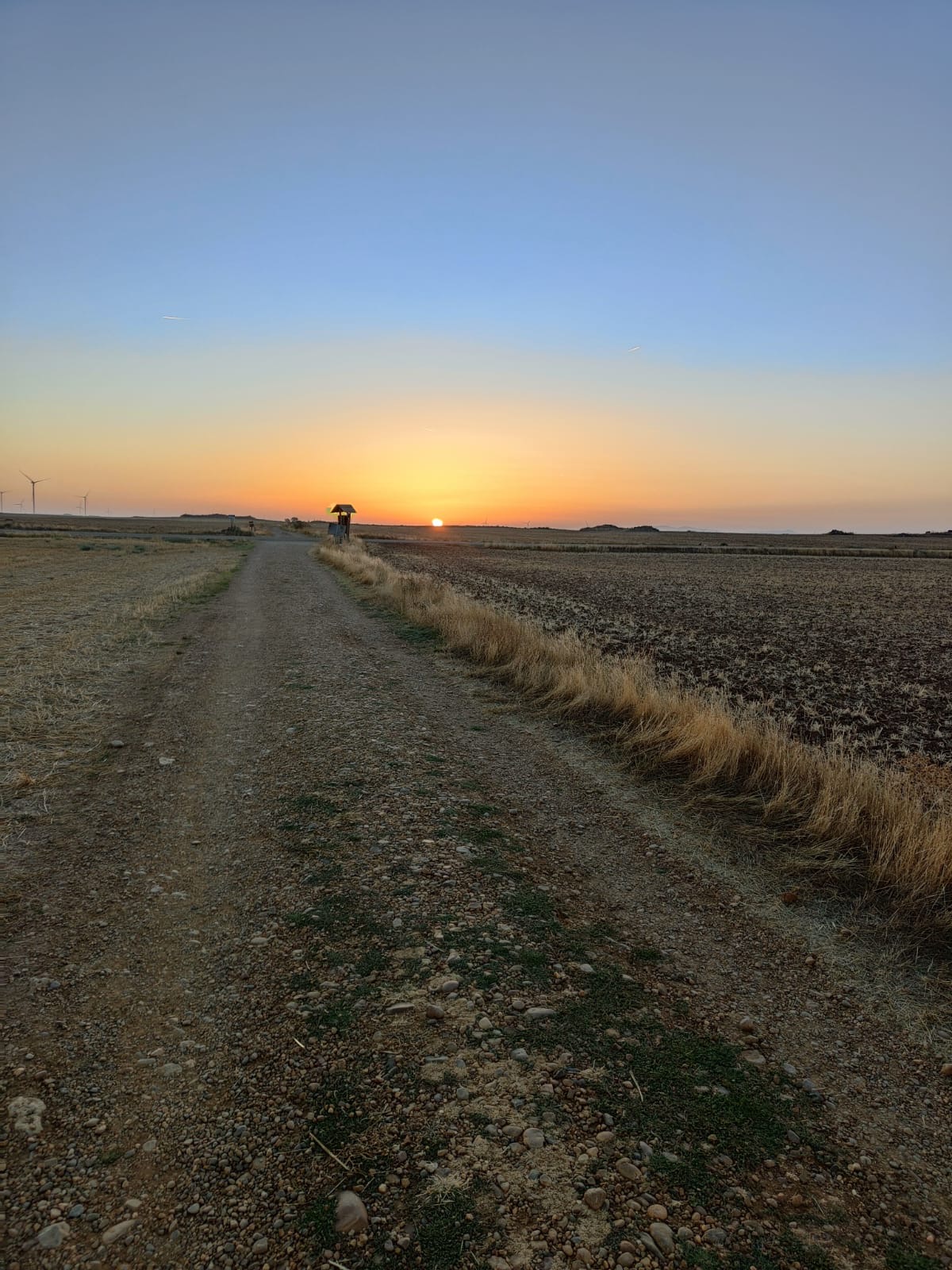 Día 15: De Hornillos del Camino a Otero de la Vega.