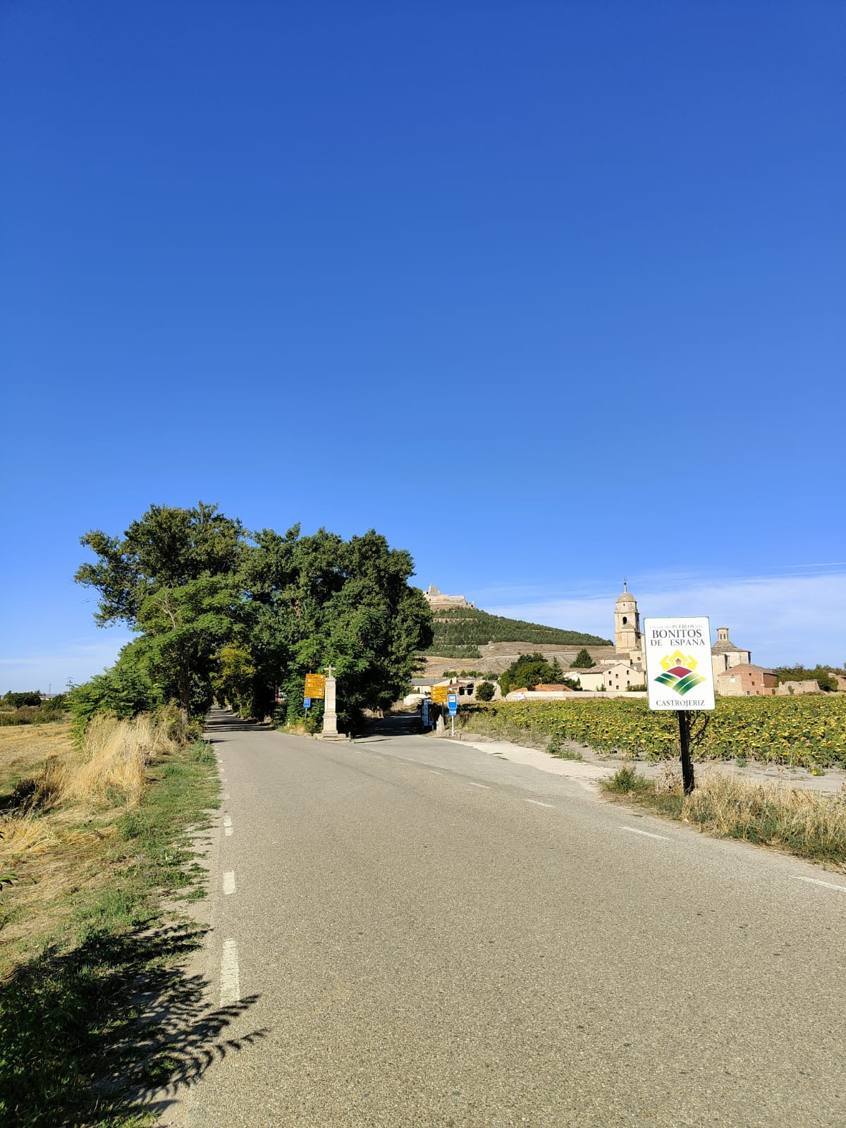 Día 15: De Hornillos del Camino a Otero de la Vega.