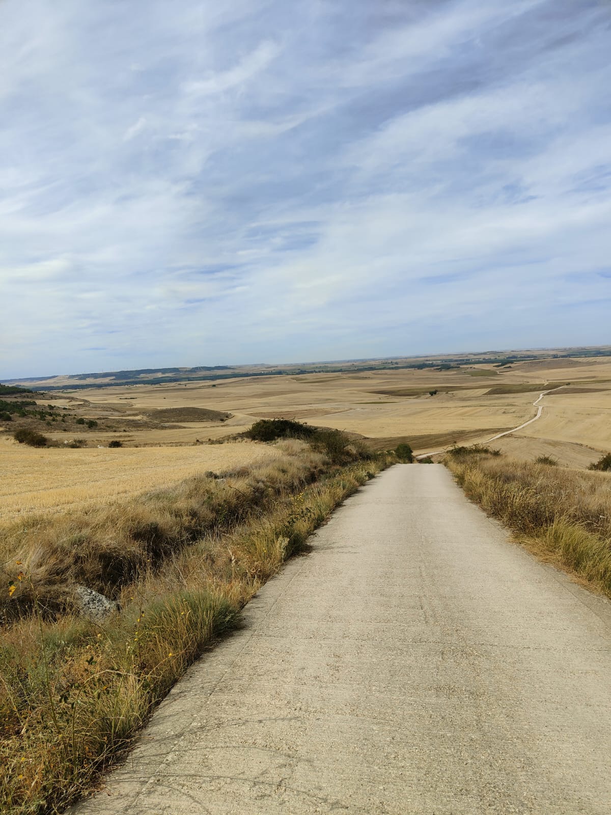 Día 15: De Hornillos del Camino a Otero de la Vega.