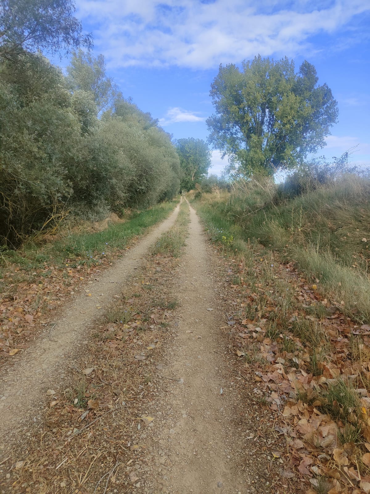 Día 16. De Itero de la Vega a Carrión de los Condes.