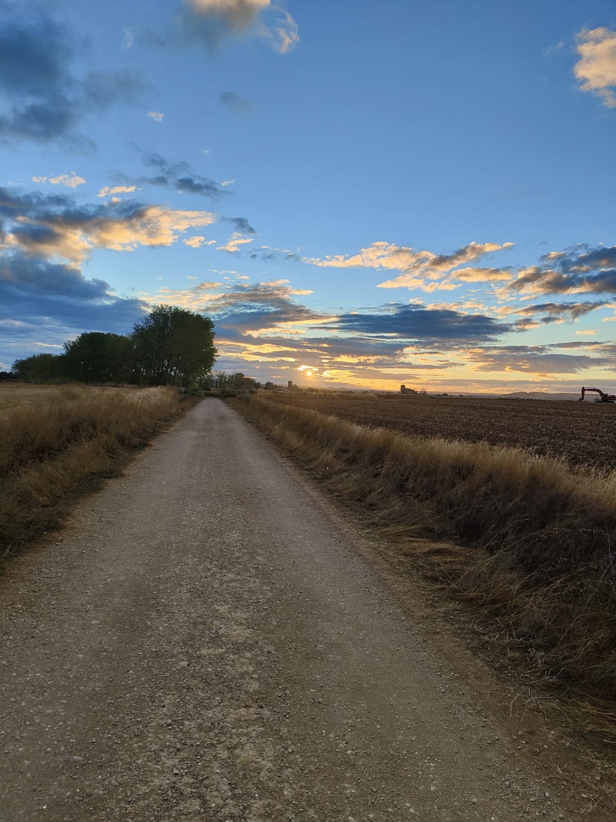 Día 16. De Itero de la Vega a Carrión de los Condes.