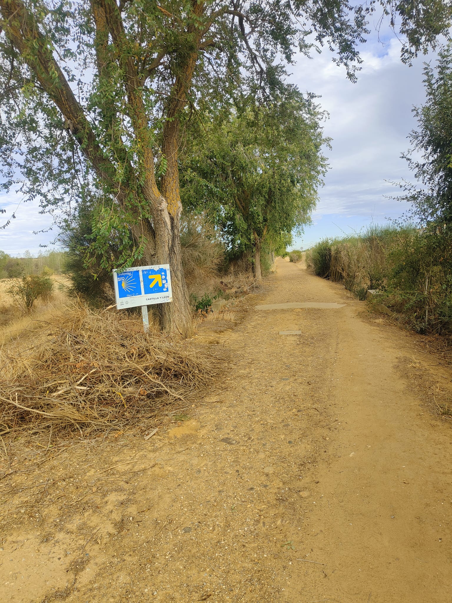 Día 17. De Carrión de los Condes a Terradillos de los Templarios.